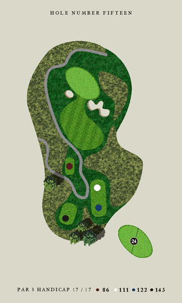 hole15