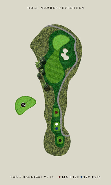 hole17